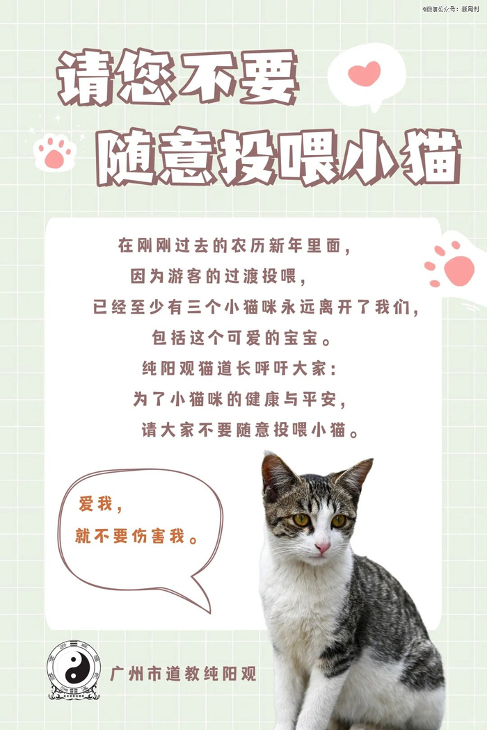 （图/广州市道教纯阳观）