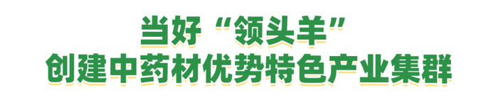 记者 熊庆萍