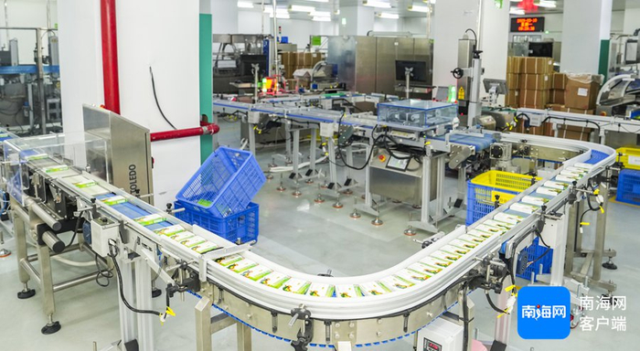 3月10日，海南亚洲制药股份有限公司生产车间内，一盒盒快克复方氨酚烷胺胶囊从生产线产出。记者 李昊 摄