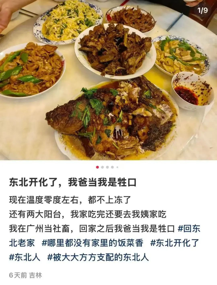 图源：安妮（户外撒野版）