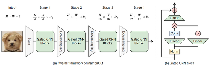 图6：(a) MambaOut 的总体架构；(b) Gated CNN Block 的设计