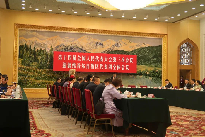 ▲ 第十四届全国人民代表大会第三次会议新疆维吾尔自治区代表团全体会议。周宛霖 摄