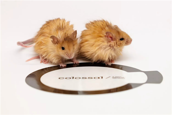 图源：Colossal Biosciences