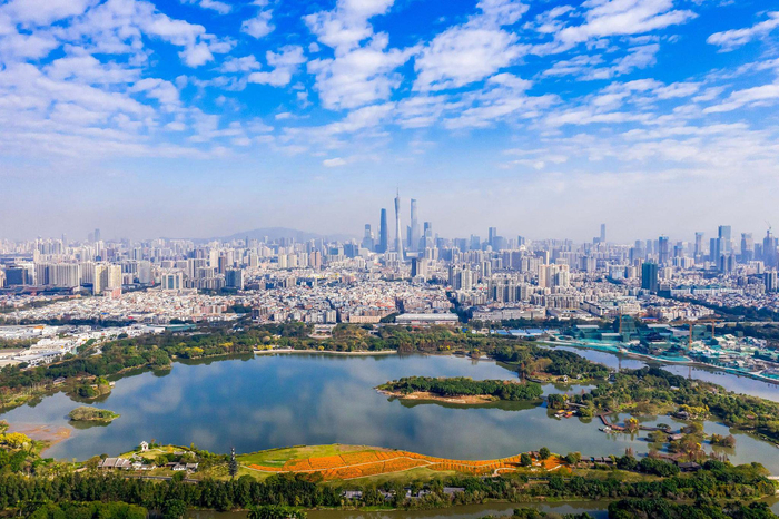 图为位于中心城区的广州海珠国家湿地公园与城市地标广州塔遥相呼应。　　新华社发（谢惠强　摄）