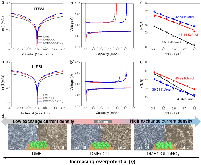 图3. 不同电解液中的锂沉积界面动力学行为研究