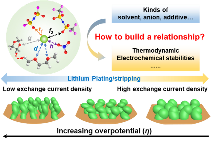 图1. 离子、溶剂相互作用与锂沉积/剥离动力学及热力学行为研究