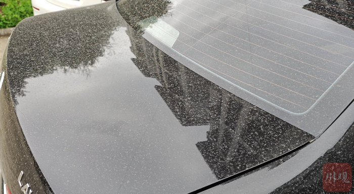 路边的汽车布满灰尘。袁茹莉 摄