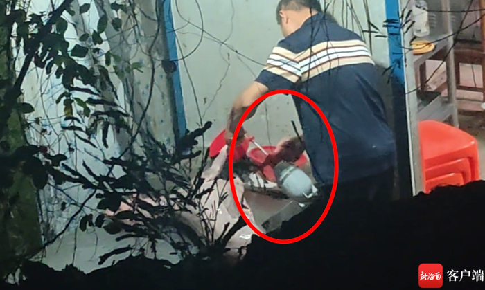资料图：海口椰海综合批发市场一家羊肉档口门后，一名中年男子正在用喷壶，向白条羊身上喷洒黑色液体。记者 姜飞 摄