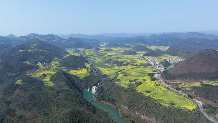 九龙瀑布景区油菜花盛开（2025年3月4日摄）。