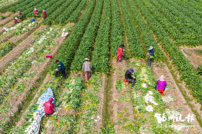 图源连江县融媒体中心