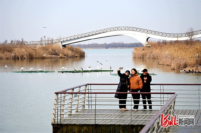 2月22日，游客在衡水湖畔赏湖景、观候鸟。 河北日报记者焦磊摄