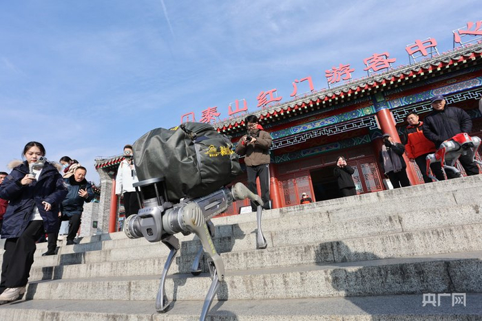机器狗在红门景区测试（央广网发  隋翔摄）