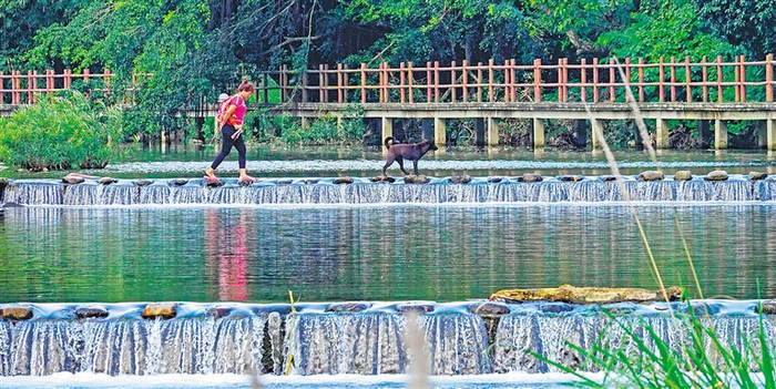 村民从河间的跳岩上走过。海南日报记者 陈元才 摄
