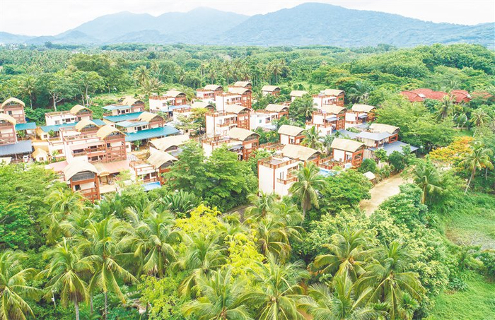 俯瞰绿树掩映中的什进村。海南日报记者 武威 摄