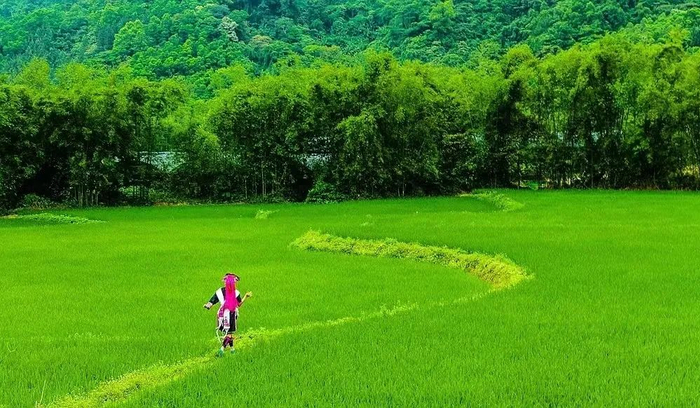 琼中什寒村风光。图源海南日报