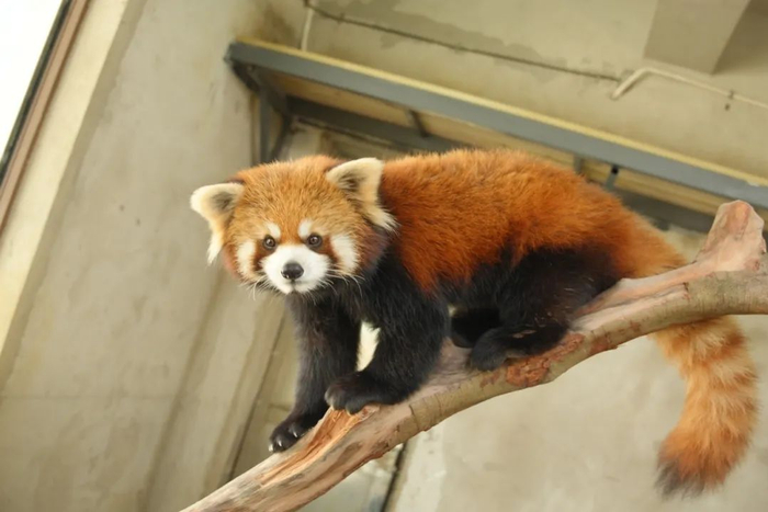 上方山森林动物世界