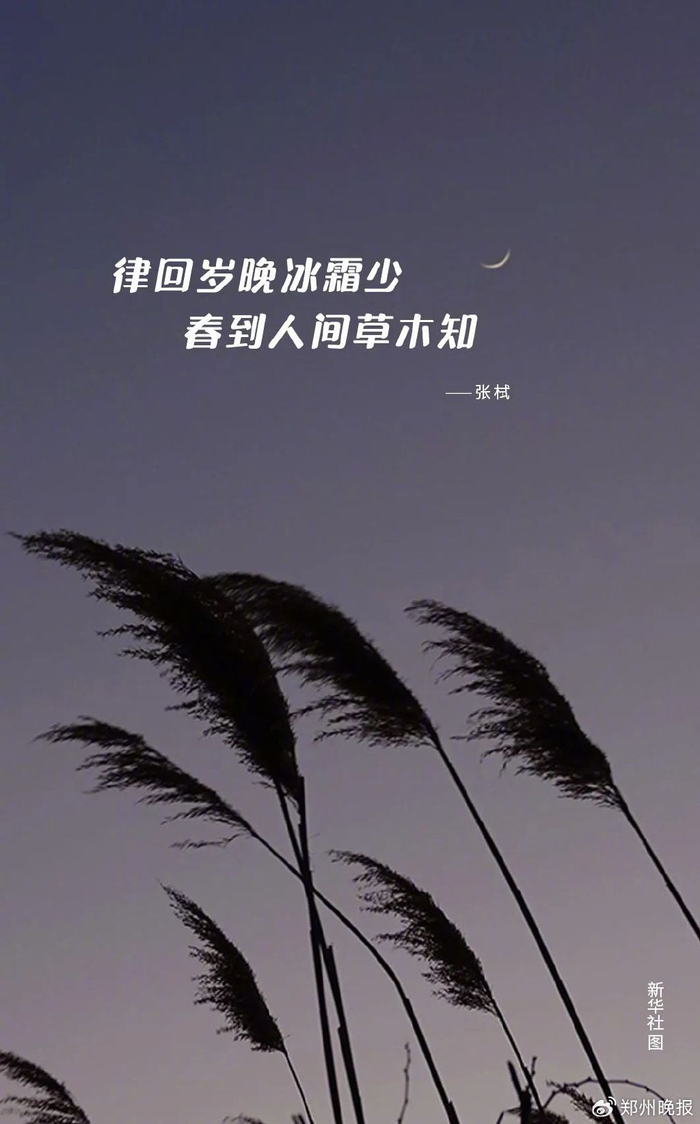 新闻来源：郑州日报 、郑州晚报 、中原网、正观新闻、新华社、人民日报、央视新闻等