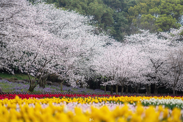 上方山国家森林公园