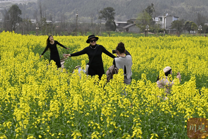 油菜花田里打卡拍照的旅客。肖开丰 摄