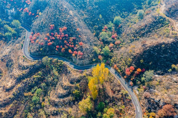 2024年11月拍摄的曲阳县环湖康养步道美景。贾民义摄
