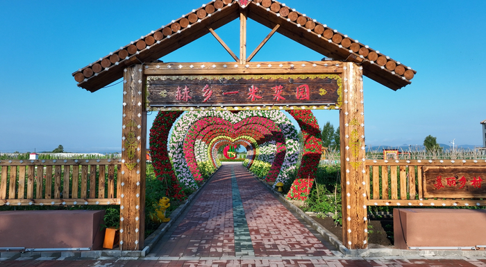 赫乡一米菜园（央广网发  饶河县委宣传部供图）