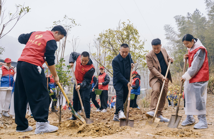 青春谷志愿服务队近百名志愿者共同参与植树活动。