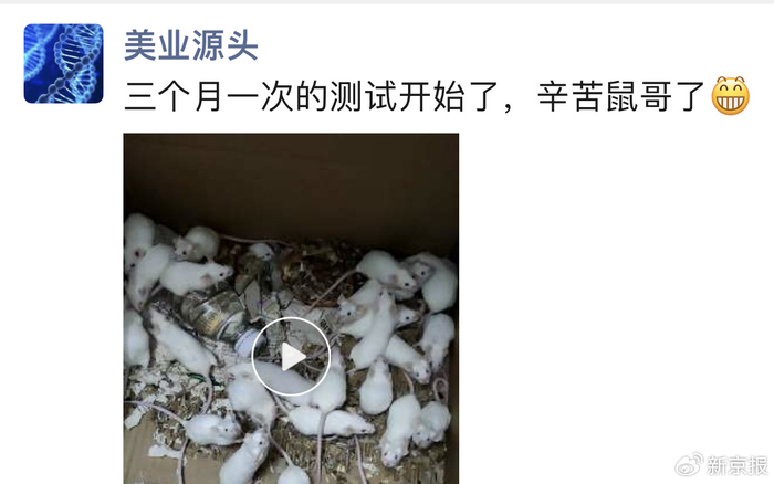 假肉毒素厂家发朋友圈称用小白鼠试药。图源：假肉毒素厂家朋友圈视频截图