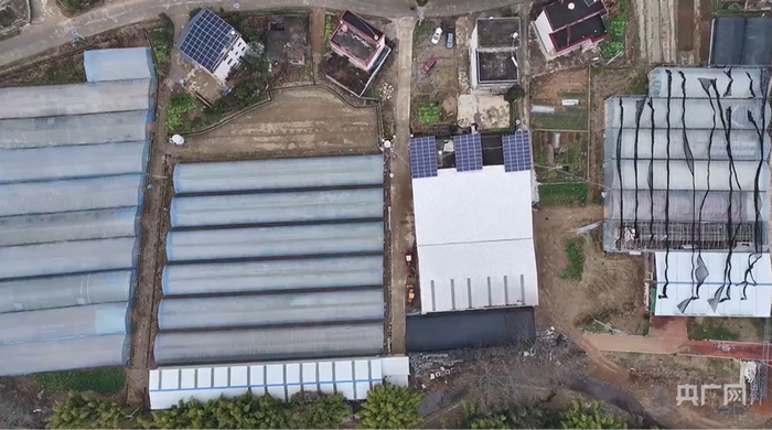 航拍数字化育秧工厂（央广网发  王健  摄）