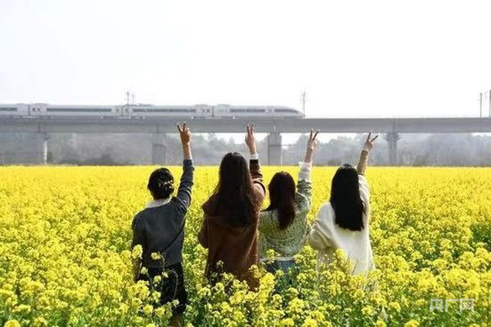“高铁+花海”，吸引游客纷至沓来（央广网记者  周蓓  摄）