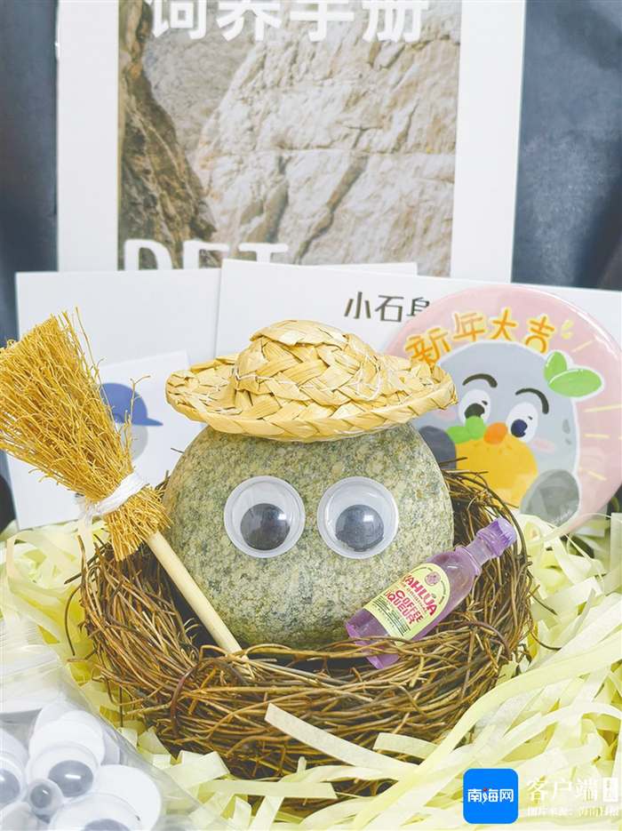 资料图：宠物石头。