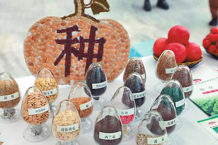 　　元谋举办蔬菜种业博览会。