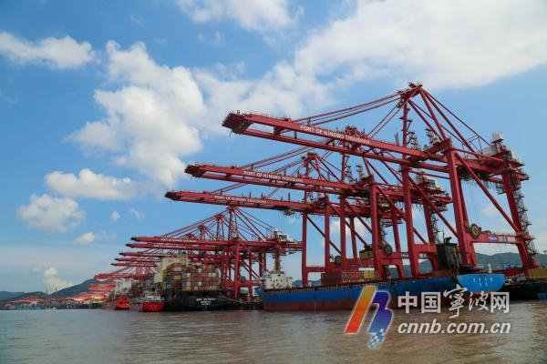 宁波舟山港穿山港区。向恋梅 摄