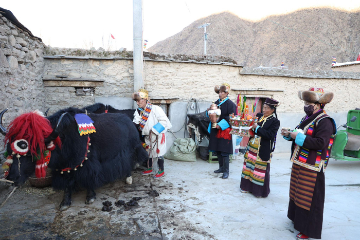 图为索朗边久老人一家正在为耕牛祈福一切顺利