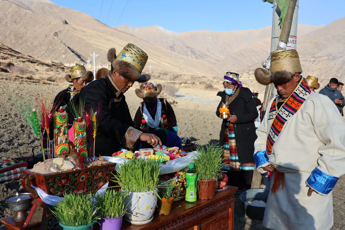 图为村民们开始准备开耕仪式用的切玛等