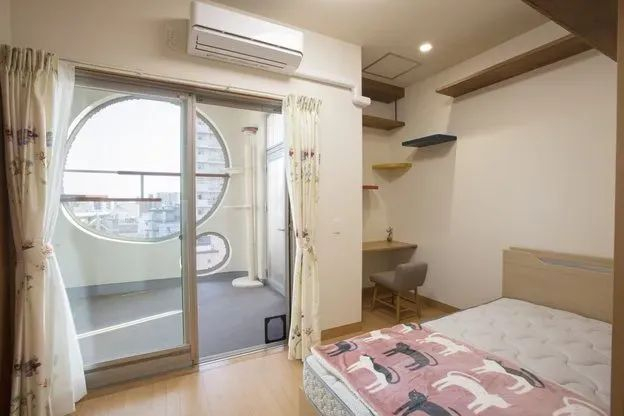 日本「Peppy Happy Place」，带有猫步道的宠物共生型养老院。资料图片