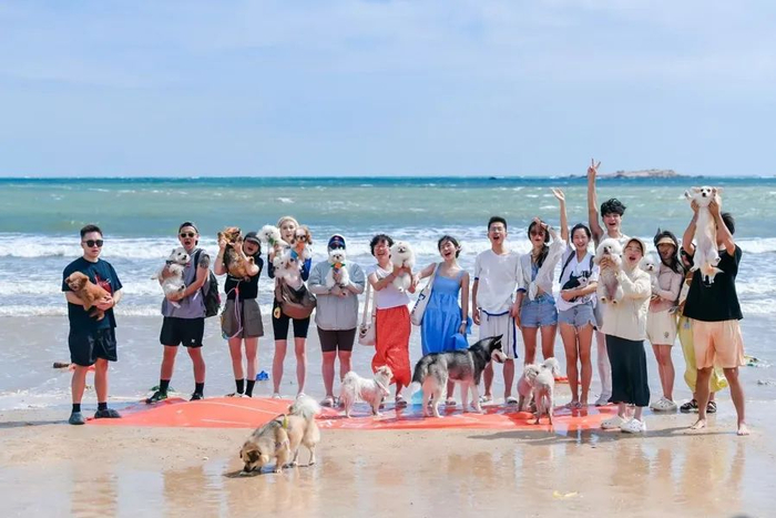 邬跃敏和年轻伙伴们带着小狗一起在全国各地旅游。受访者提供