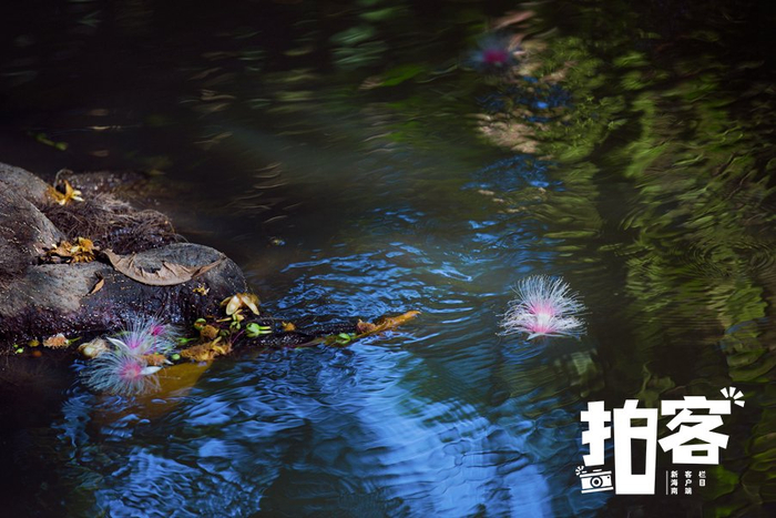 南海网拍客专栏摄影师 李秋华 摄