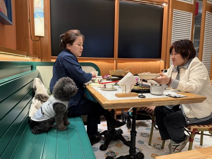 在宠物友好餐厅，带宠物用餐的家庭。沈思怡 摄