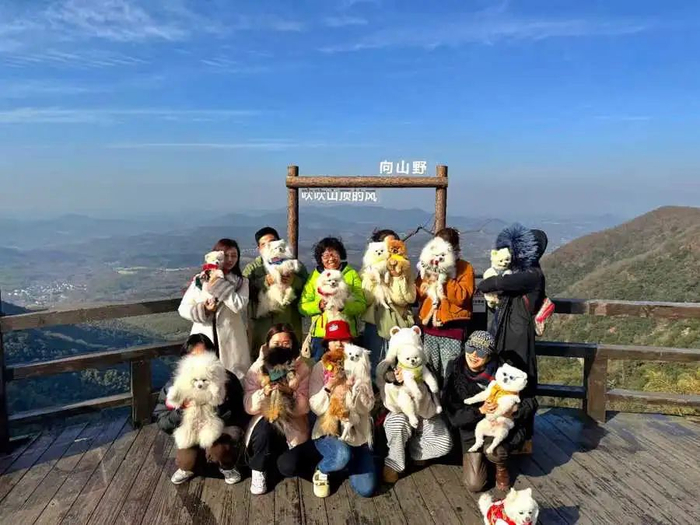 当代的养宠人有较大带宠出行的需求。受访者提供