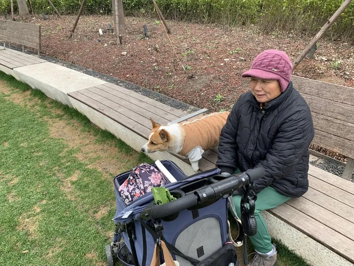 阿婆的小推车，专门用来解决狗狗不愿走路的难题。沈思怡 摄