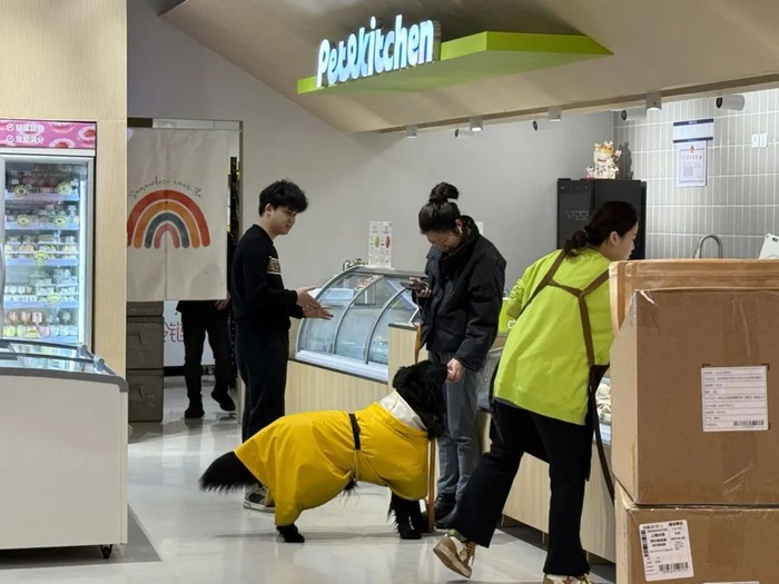 带宠物来“下馆子”的年轻人。沈思怡 摄