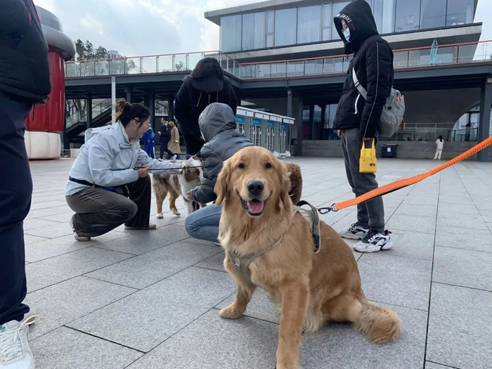 西岸滨江是养宠人公认的“沪上宠物友好天花板”之一。沈思怡 摄