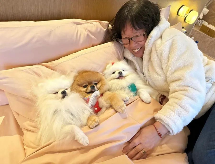 带妞妞住宠物友好酒店，一晚的价格比普通酒店高出许多。受访者提供