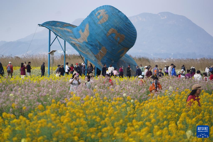 游客在云南省昆明市官渡区福保村千亩油菜花田游玩（3月2日摄）。新华社发（梁志强摄）