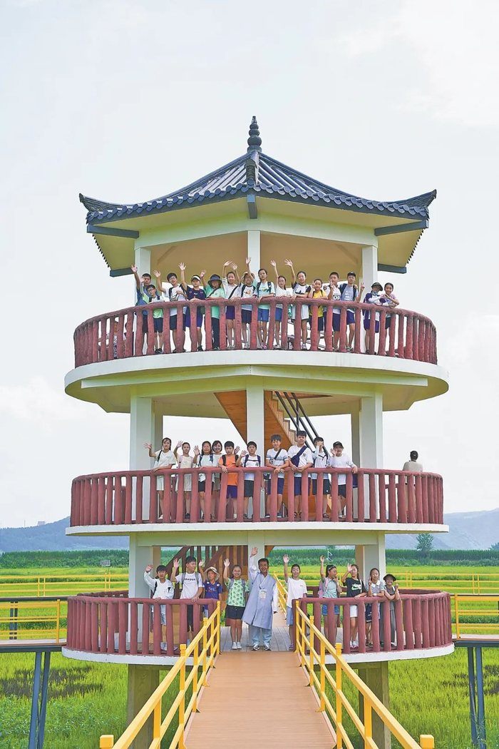 游客在光东村的稻田观景台游玩合影。资料图片