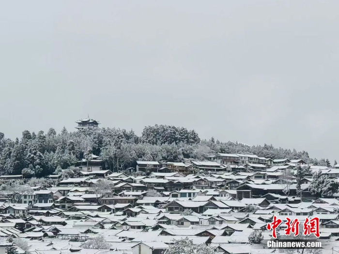  图为雪中的丽江古城。阿金 摄