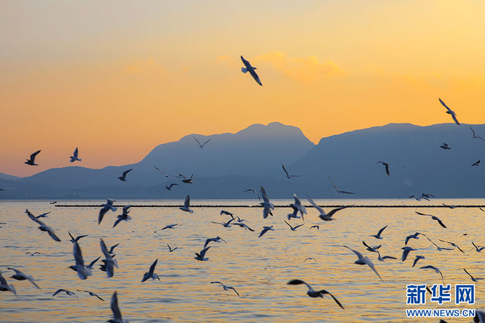 浪漫滇池（1月5日摄）。新华网发（吴成水 摄）