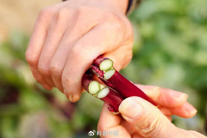 图库版权图片，转载使用可能引发版权纠纷