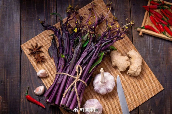 图库版权图片，转载使用可能引发版权纠纷