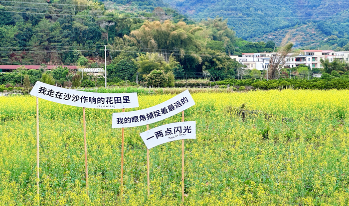 △李芝慧 摄